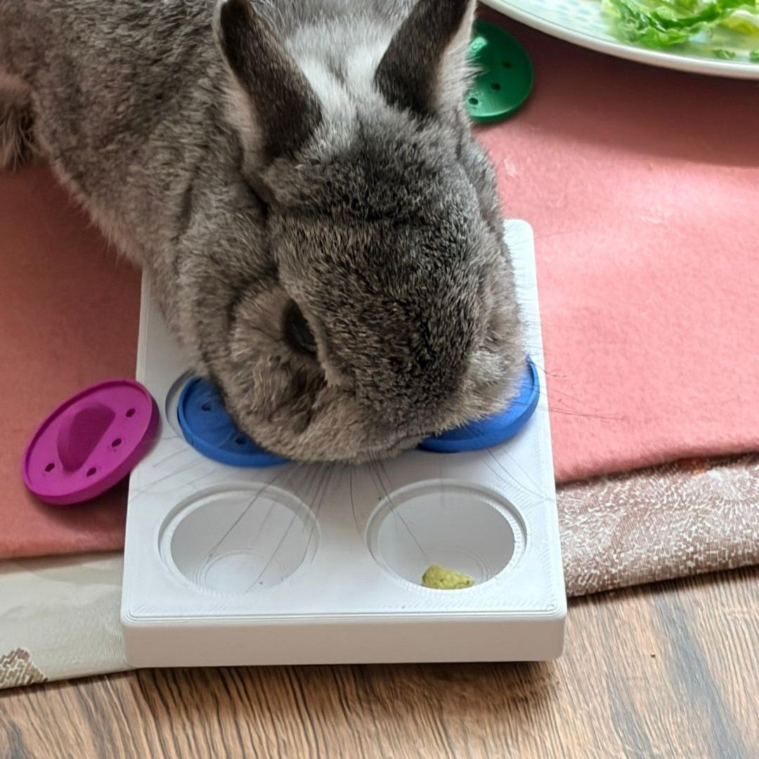 Rabbits