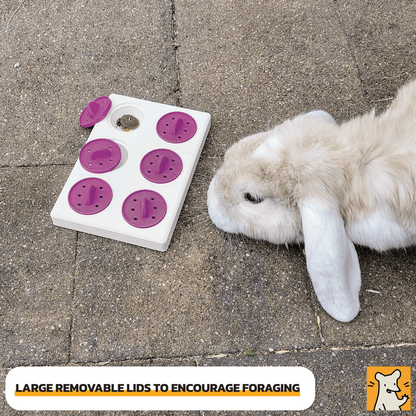 Large foraging puzzle toy with removable lids for pets, enhancing foraging and problem-solving activities.