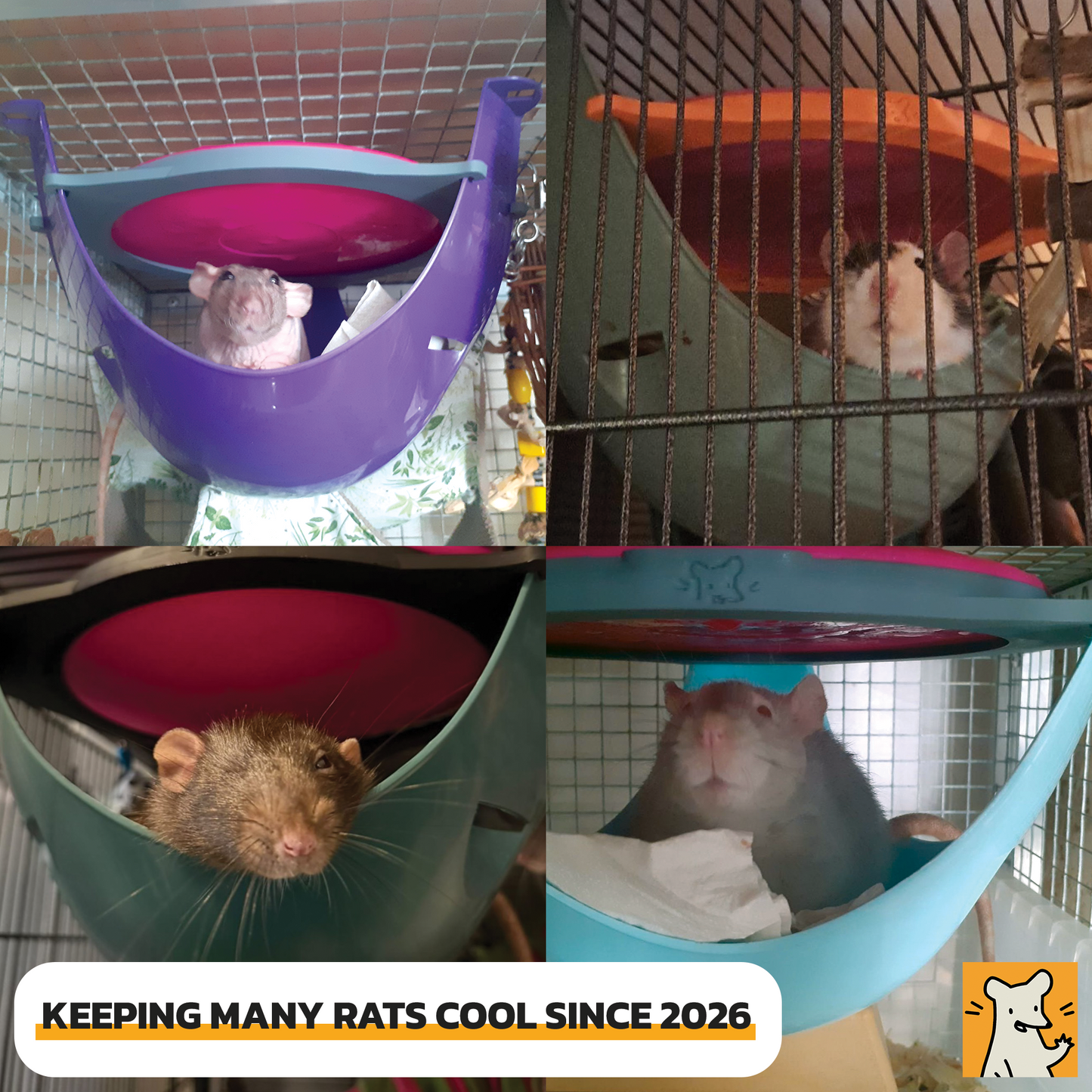 Ice Pod Cooling Holder for the Savic Sputnik | Keeps Rats Cool on Hot Days