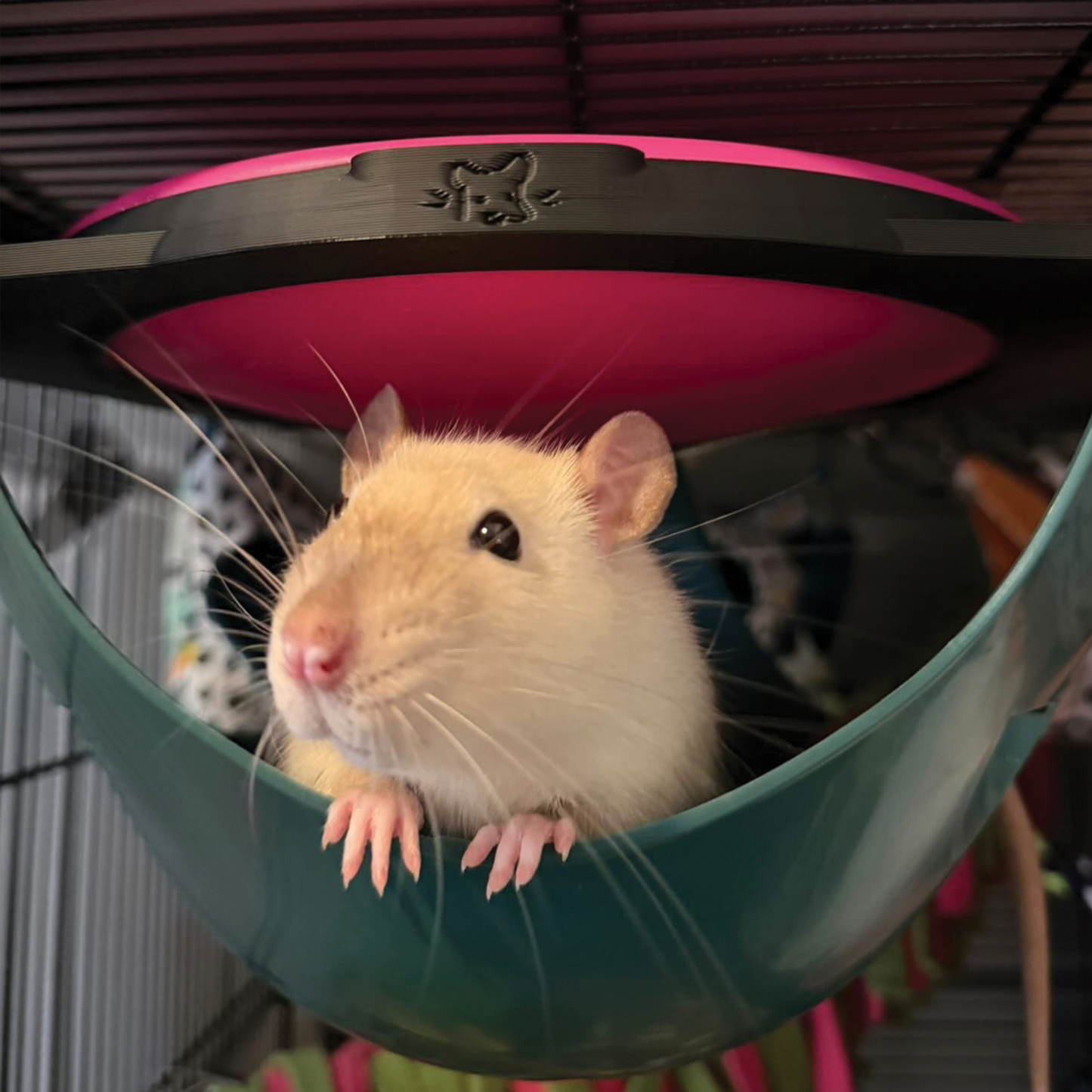 Ice Pod Cooling Holder for the Savic Sputnik | Keeps Rats Cool on Hot Days